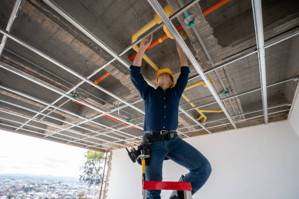 Best Local Plumber Services  in Thompsons Station, TN