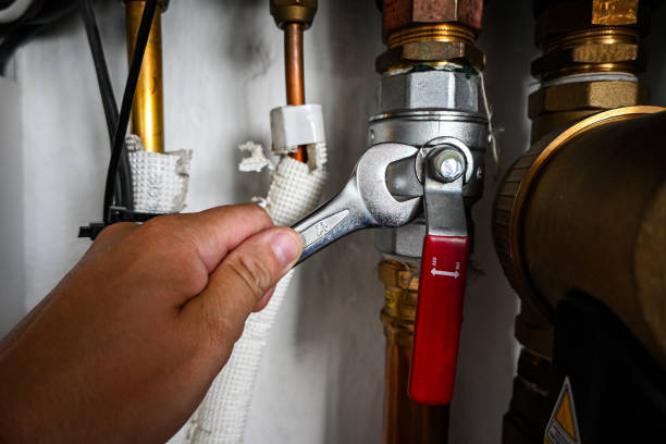 Best Clogged Drain Plumber  in Thompsons Station, TN